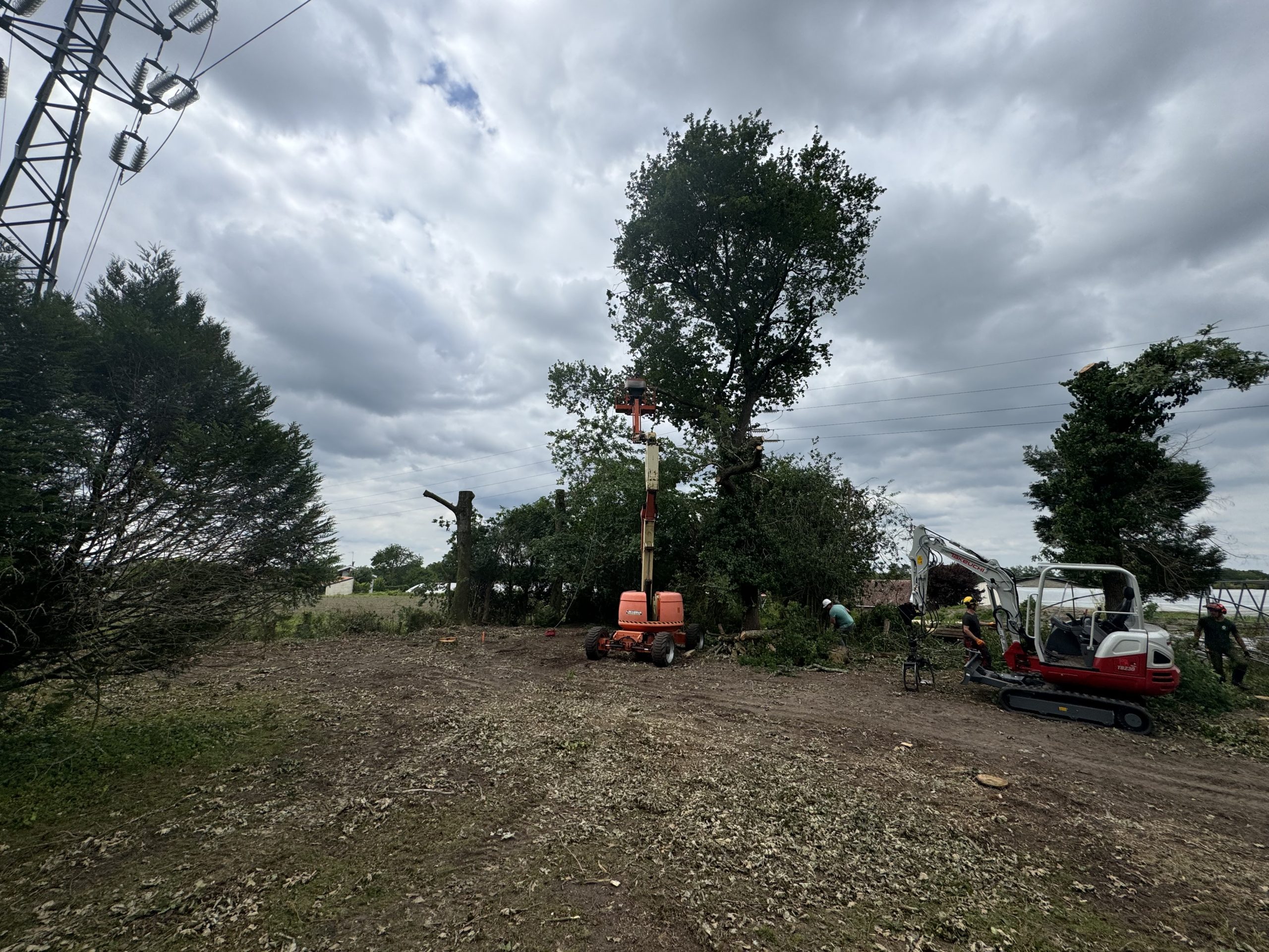 Élagage – chantier 1